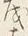 글자 す