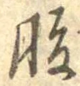 腹 위치 확인됨