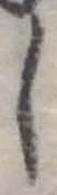 𛁅 위치 확인됨