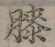 已定位膝