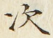 글자 次