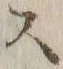 Chữ ス