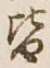 글자 皆