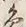 文字象