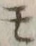 字モ