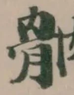 䯐 위치 확인됨