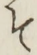 글자 そ