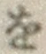 글자 を