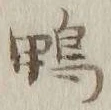 글자 鴨