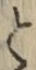 文字と