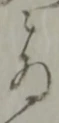位置定マレル被