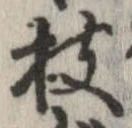 已定位枝