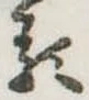 𛃽 위치 확인됨