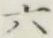 글자 六