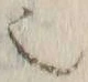 글자 也
