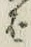 “ば”字