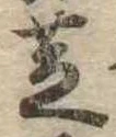 芝 위치 확인됨