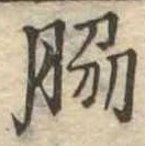 Đã định vị 脇