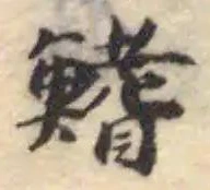 鰭の位置