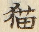 文字 猫