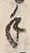 Character 手