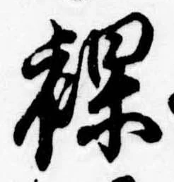 裸 위치 확인됨