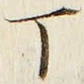 「丁」字