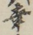 字幸