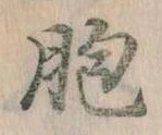 Đã định vị 胞