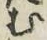 文字 む