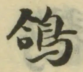 鴿の位置