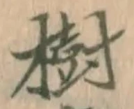 글자 樹