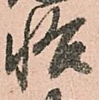 悟 위치 확인됨