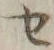 字セ