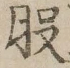 股 위치 확인됨