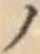 字ノ