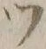 文字 ツ