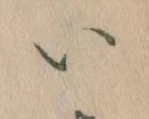 𛀆 위치 확인됨