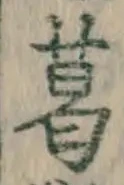 文字葛