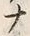 “ナ”字