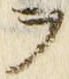 字ヲ