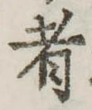Đã định vị 者