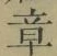 Character 章