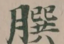 𦠆の位置