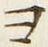 𡨸ヨ