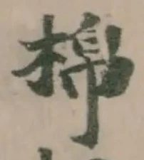 棉 위치 확인됨