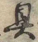 位置定マレル具