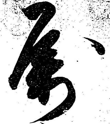 属の位置