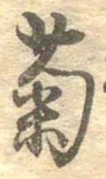 菊 위치 확인됨
