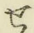 글자 せ